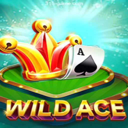 Discover WildAce: The Thrilling Casino Game